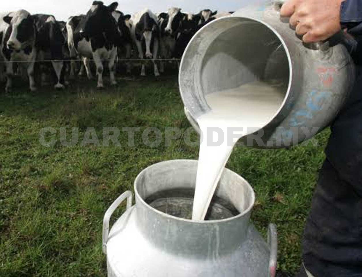 Aumenta El Precio Del Litro De Leche