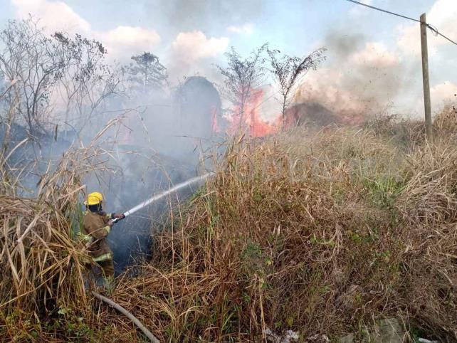 Siguen los incendios de pastizales en Tapachula