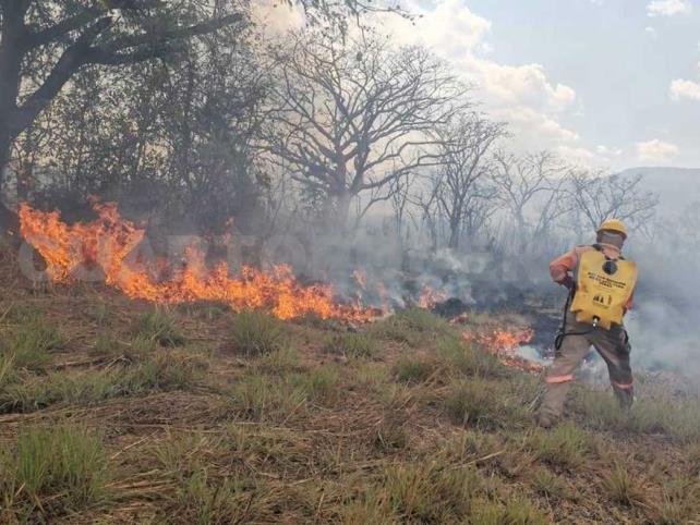Liquidan tres incendios en varias regiones del estado