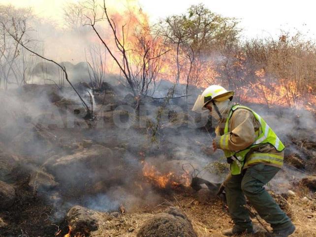 Incendios no dan tregua; 800 hectáreas quemadas