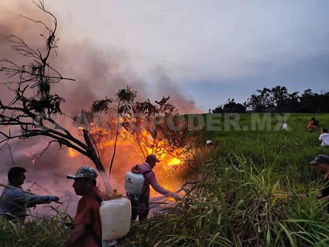 Se incendian 45 hectáreas de cultivo