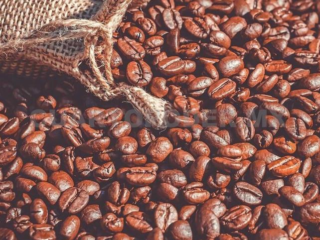 Mujeres ganan terreno en producción de café