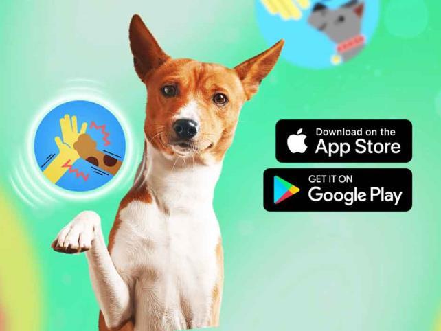 Si tienes un perro, no te puedes perder estas apps