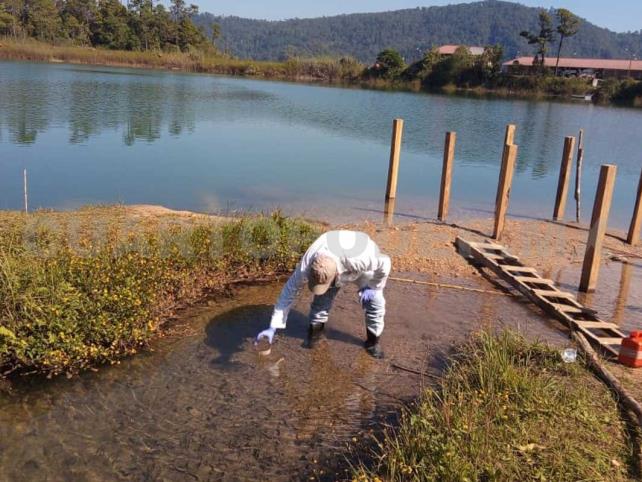 Realizan estudios del agua en lago Tziscao