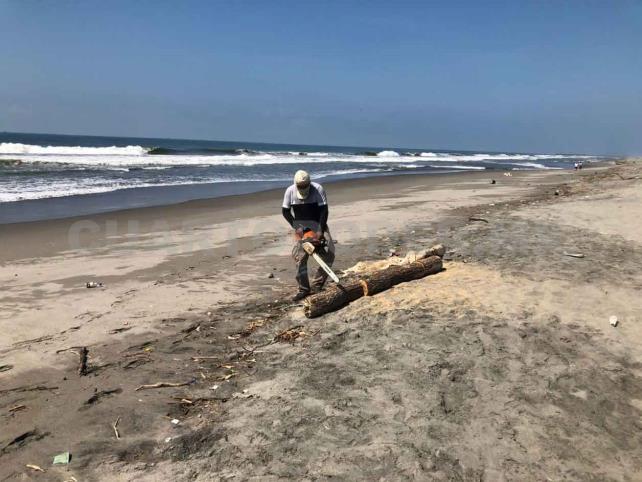 Sacan troncos y ramas de playas de Tapachula