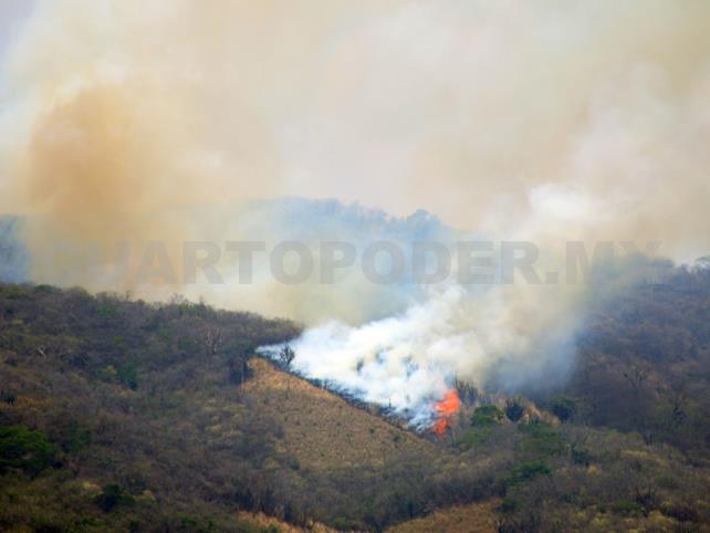 Se eleva a casi 8 mil hectáreas quemadas